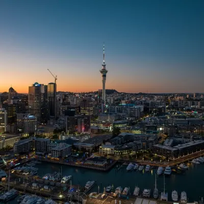 nz-img